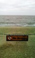 /album/blackpool/blackpool-3-jpg/